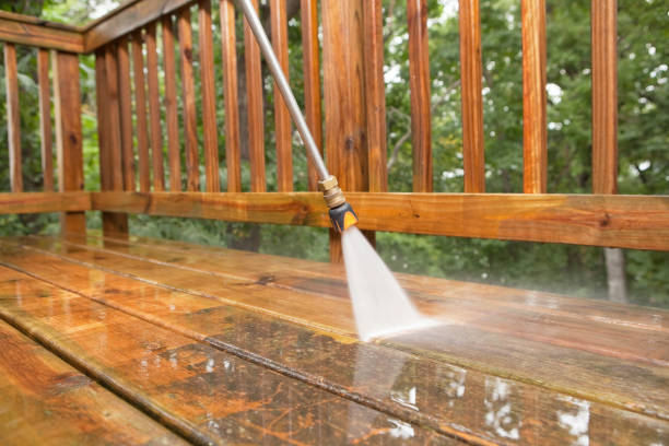Best House Exterior Washing  in Flat Rock, MI